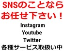 最安⭐️インスタ動画の再生+５０００回拡散します ⭐️保証有/高評価多⭐️インスタのリール/動画再生回数拡散！ イメージ2