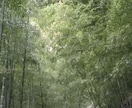 ペンデュラムで占います ペンデュラムでYES、NOで占います。 イメージ1