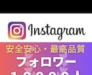 インスタのフォロワー+10000人増加します Instagram+10000人増加/500いいね！も対応 イメージ1