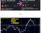 FXはこれを見たら他に何もいらなくなります FXでやる事はシグナル配信を受け取りそれ通りトレードするのみ イメージ8