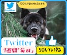twitter＞毎日＜50いいね運用代行します 大事なアクションである「いいね」をアクティブユーザーに！ イメージ1