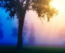 精霊調律の序章｜魂に触れるチャクラとオーラを視ます チャクラとオーラに宿る今のあなたの“本音”を、静かに映します イメージ10