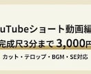 YouTubeショート動画を編集します 見やすくテンポの良いショート動画に仕上げます イメージ1