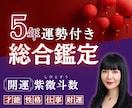 開運！宿命を知り運命の流れに乗る総合鑑定します 才能・仕事・財運・人生の流れを紫微斗数で詳細分析！ イメージ1