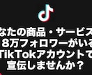 TikTok18万フォロワーアカウントで宣伝します 動画は月間300万回再生以上！ イメージ2
