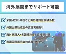 特許出願書類を弁理士が作成し、特許出願を代理します チラシ、ホームページなどに【特許出願中】の表記をしましょう イメージ8
