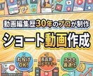 ショート動画をつくります 1995年から動画編集歴30年のショート動画製作 イメージ6