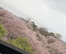 お悩み、お話しお聞きします 話したい事があるけど誰にも話せない。友達に話す様にお気軽に イメージ2