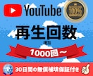 YouTube再生回数❗動画をプロモーションします 高評価も⭐️動画再生回数＋1000増えるまで宣伝します！ イメージ1