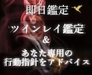 即日鑑定◆あの人がツインレイなのかハッキリさせます 運命の人か分からないから動けないあなたへ贈るツインレイ鑑定 イメージ1