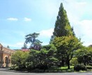 一橋合格者が法科大学院の受験に完全対応します 志望理由書・小論文・面接で問われる内容の添削を実施します。 イメージ1