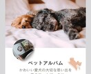 愛するペットのお写真を可愛く撮影します データだけでなくフォトアルバムもセットでお渡しします！ イメージ3