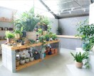 花屋・カフェの開業アドバイスします ヨーロッパで学び×18年現場経験｜憧れのお店をカタチにします イメージ5