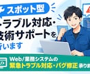スポット型トラブル対応・技術サポートを行います Web/業務システムの緊急トラブル対応・バグ修正承ります イメージ1