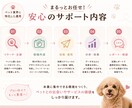 ペット業界特化のInstagram運用代行をします ペット業界に特化したInstagram運用をお任せください イメージ3