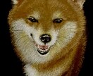 黒紙に色鉛筆でリアルな絵を描きます 他にはない黒紙に色鉛筆でリアルな質感で絵を描くアートです。 イメージ3