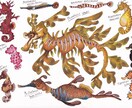 海洋生物のイラスト描きます 小さな魚から大きなクジラまで、種類色々お任せください！ イメージ5
