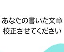創作小説やブログ記事など文章校正します 最安値！丁寧に作業いたします！ イメージ1