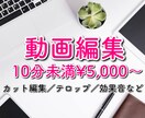 動画編集（カット・テロップ・BGM挿入等）承ります YouTuberさん大歓迎！ビジネス系エンタメ系などに対応 イメージ1