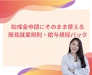 就業規則・賃金規程を整備します 助成金と労務リスクに強い就業規則を一括整備 イメージ4