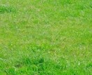 どんな相談でもうけたまわります 鬱、学校、仕事、性別、人間関係、あらゆる相談うけたまわります イメージ1