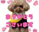 愛するお子様、ペットのラインスタンプつくります LINE公式への登録・販売申請まで行います イメージ1