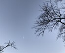 オリジナルリーディングで必要な事をお伝えします 悩みがわかっていなくても大丈夫。ありのままお話して下さいね。 イメージ5