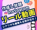 インスタグラムのリール動画を作成し放題で提供します Instagramのショート動画をお任せで作成し放題 イメージ1