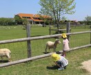 滋賀への旅行のご相談に乗ります 長年の滋賀在住者がサポートさせて頂きます! イメージ1