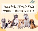 犬を飼いたいあなたの犬種選びを手伝いますます あなたの性格やライフスタイルに合った犬種をご提案します イメージ1