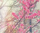 お子様の5分程度のMP4 動画 安価で 編集します スマホで撮ったお子様の動画のまとめにいかがですか？ イメージ2