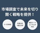 スタートアップ向け！市場分析/競合分析します 経営のプロが、市場を制し、競合を超えるデータ戦略を提供！ イメージ1