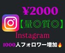 質◎量◎SNS 1000フォロワー売ります Instagramのフォロワーを増やします！ イメージ1