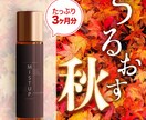 amazon、楽天、ECサイトバナー制作します ECサイトで集客 最短当日〜2日 イメージ3