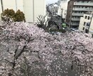 自分の気持ちに気付くお手伝いをします まず自分を理解し、周りの人を理解して、幸せを探しましょう。 イメージ1