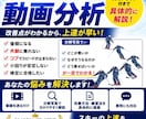 スキー動画を分析！分解写真で改善点を具体解説します 動画から分解写真を作成し改善点を教えます イメージ1