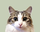 迷い猫、高確率で見つます 80%見つかる！！まずは価格を抑えて確実に見つけたい方 イメージ1