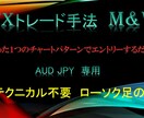 FXトレード手法M&Wを公開します たった一つのチャートパターンでエントリーするだけ！ イメージ1