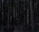 どんな愚痴でも悩みでも受け止めます 誰にも言えないな悩みや辛いこと、全部受け止めます イメージ1