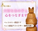 虹の橋のあの子の想いと心に寄り添います 夢番地一丁目 虹の橋 思い出横丁から 想いを届けます。 イメージ1