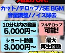 格安！ビジネス系エンタメ系 サンプルあれば作れます 複雑なやり取り無し！サンプル動画送信だけでコピー作れます！ イメージ1