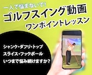 ゴルフスイングオンラインレッスン、練習方法教えます 何を治せばいいかわからない方、一人で悩まずご相談ください イメージ1