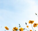 女性限定　パートナーのお悩み聞きます パートナーとの円満の秘訣/自分が幸せになる為の方法を教えます イメージ1