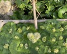 真剣に皆様の悩みに寄り添います 誰にも言えない悩みは絶対に誰にでもあります。 イメージ1
