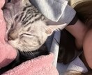何でもない私こそだから聞ける話があると思います あなたのペースでお気軽に!嬉しいからモヤモヤまで大歓迎⭐︎★ イメージ3