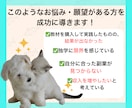 初心者さんも商品を売れるようになるコンサルやります コンテンツ作成に特化！あなただけの商品作成♪資産作りコンサル イメージ9