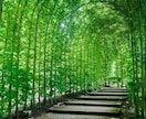 ちょっと聞いて欲しい！！にお応えします 聞いて欲しい事を聞かせて下さい。否定する事はありません。 イメージ4