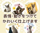 ペットの写真を表情豊かにLINEスタンプ化します 表情＆動きをつけてかわいさ120%UPでスタンプ化！ イメージ2