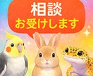エキゾチックアニマルのお悩み相談お伺いします どんなペットの相談でもOKです イメージ1
