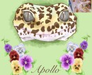 リアル調顔のみでペット/動物をイラストにします イラスト完成までのメイキング動画もプレゼント！ イメージ3
